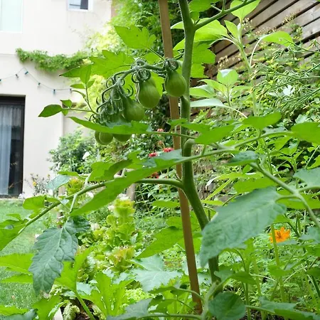 לינה וארוחת בוקר La Campagne A