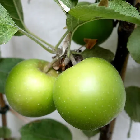 Couette-café La Campagne A 3*