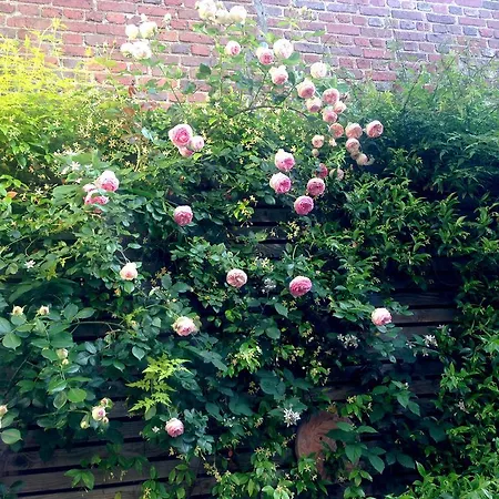 La Campagne A Couette-café 3*