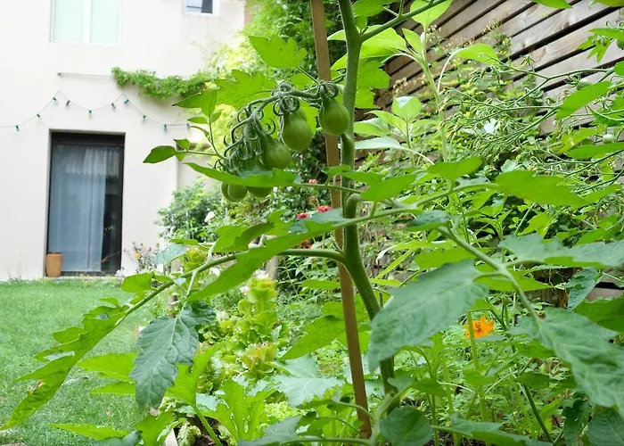 Bed & Breakfast La Campagne A