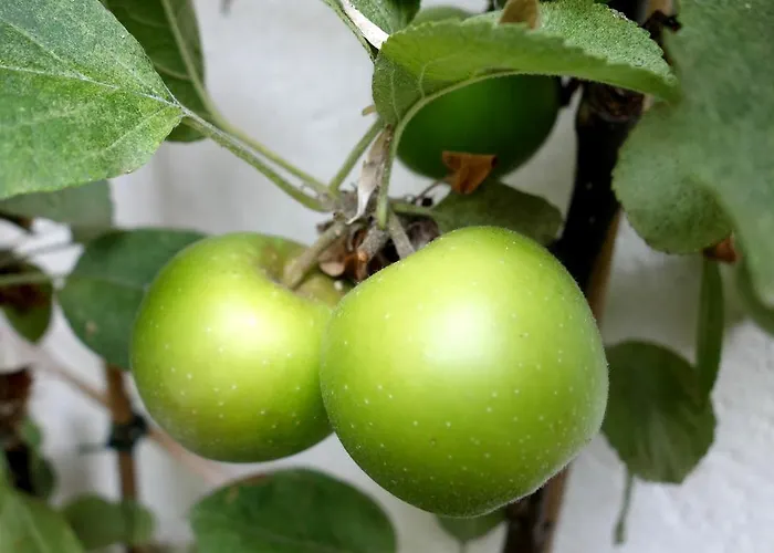 Bed & Breakfast La Campagne A 3*