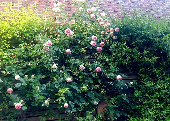 La Campagne A Couette-café 3*