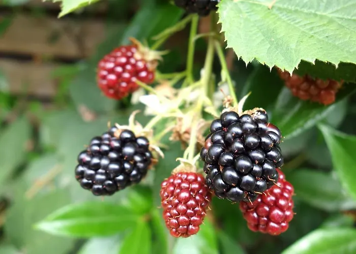 La Campagne A 3* Paris