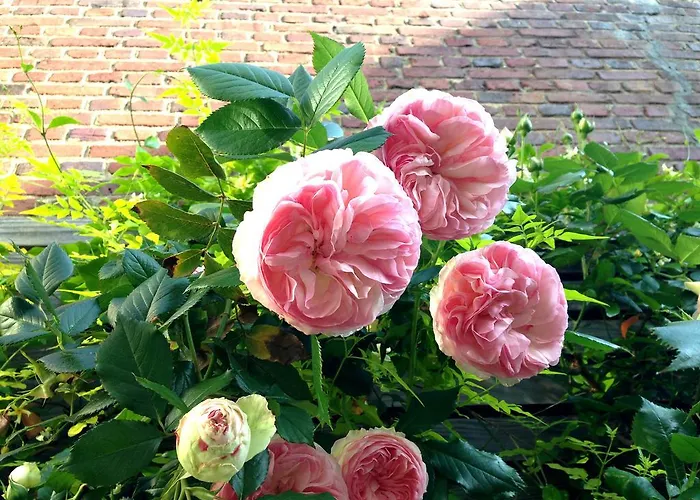 La Campagne A Bed & Breakfast Paris