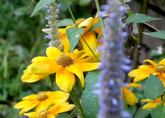 La Campagne A Bed & Breakfast