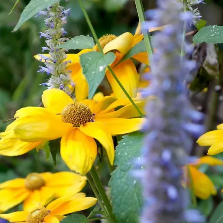 La Campagne A ベッド・アンド・ブレックファスト